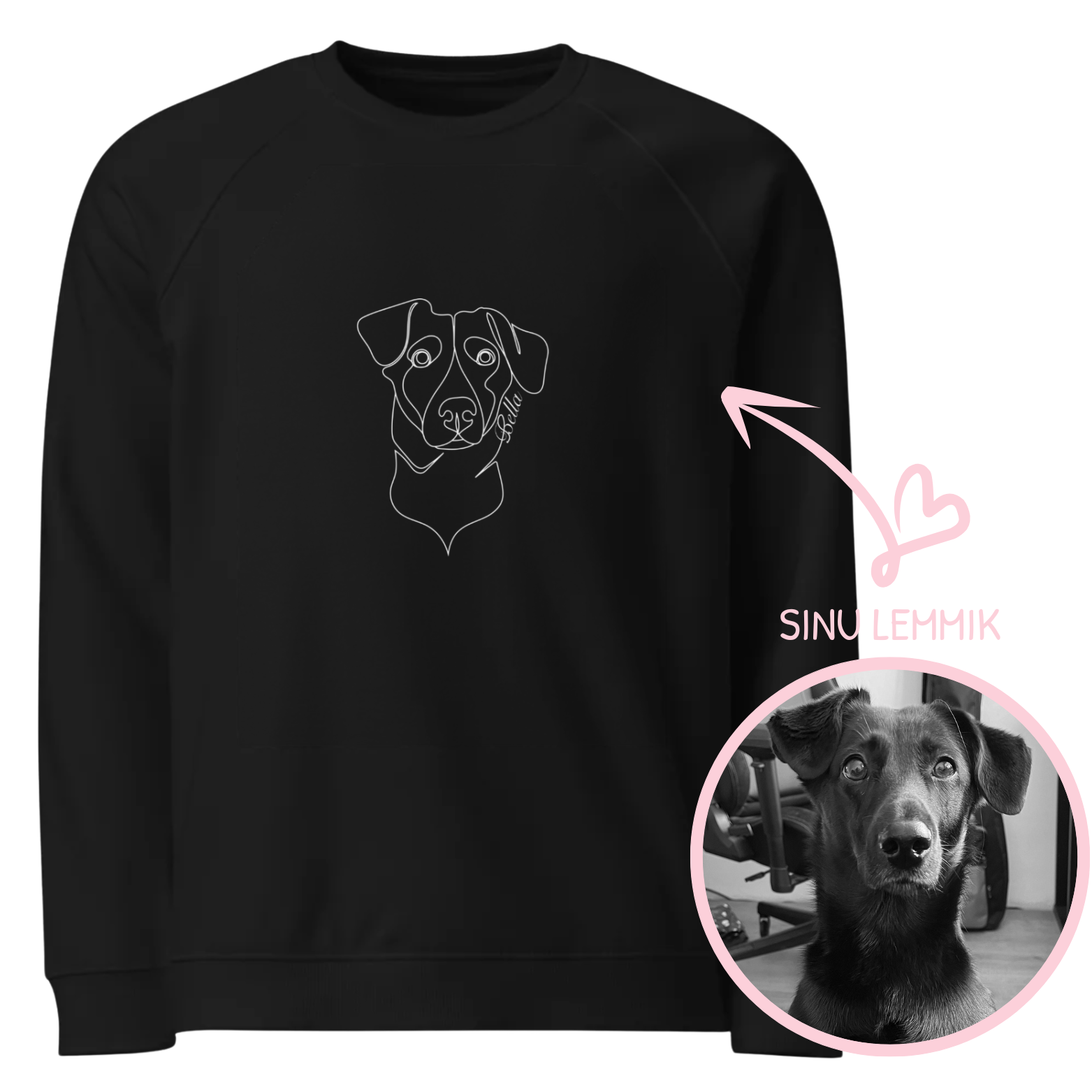 lemmiku eridisainiga pusa peremeestele