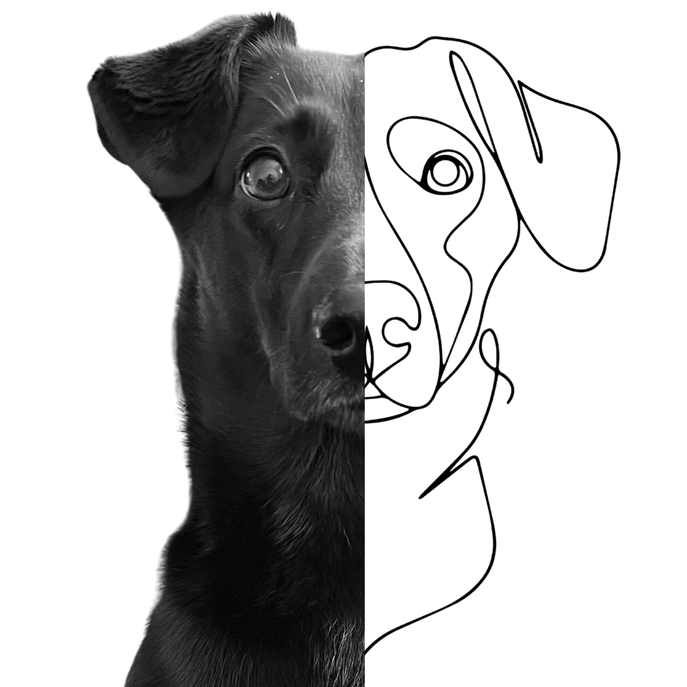 lemmiklooma eridisain