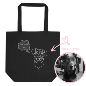 Poekott "Mis kotis on?"